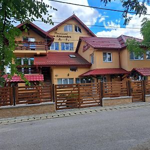 Pensiunea Casa Alexandra Hotel Vatra Dornei Exterior photo