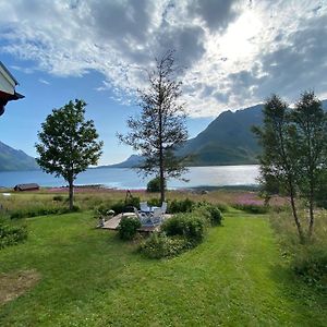 Unique And Charming House At The Foot Of Lofoten'S Highest Mountain Villa Svolvær Exterior photo