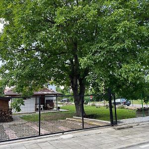 Miracle Houses Къщи За Гости Чудеса Villa Vurșeț Exterior photo