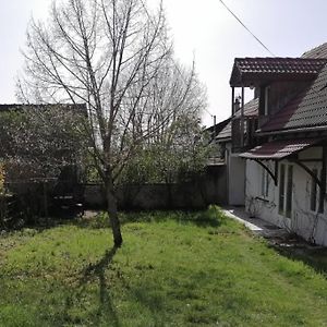 Hameau Entier: Piscine Et Discotheque Privatives ! Villa Lys-Saint-Georges Exterior photo