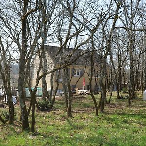 Maison Au Calme Sur Le Causse Correzien, Entre Quercy Et Perigord Villa Saint-Cernin-de-Larche Exterior photo