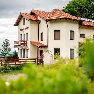 Pensiunea Rozelor Sâmbăta de Sus Hotel Exterior photo