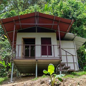 Rio Verde Ecolodge Puerto Jiménez Exterior photo