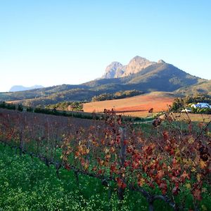 Marianne Wine Estate Bed & Breakfast Stellenbosch Exterior photo