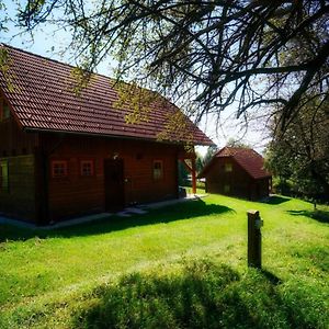 Urlaub Am Glatzl Bauernhof Villa Sankt Lorenzen am Wechsel Exterior photo