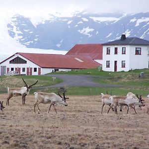 Guesthouse Hólmur Exterior photo