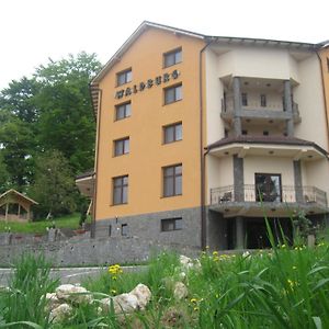 Pension Waldburg Hotel Rîşnov Exterior photo