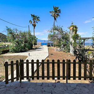 Palm Tree House By The Beach Villa Skhoínos Exterior photo