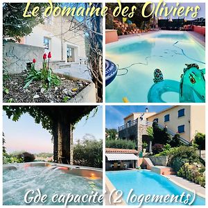 Le Domaine Des Oliviers Ales Piscine Jacuzzi Sauna Apartment Exterior photo