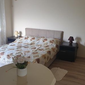Apartments Kamenjar Novi Sad Room photo