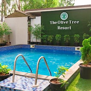 Olive Tree Resort, Lonavala Exterior photo