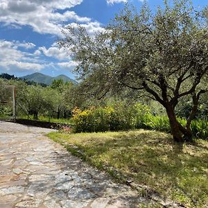 Lo Canto Apartment Valleraugue Exterior photo