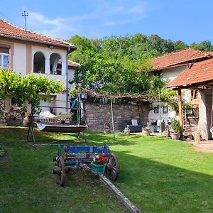 Vila Kruna Pirot Exterior photo