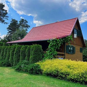 Puszczysko Nad Jeziorem - Dom Na Wynajem Villa Drezdenko Exterior photo