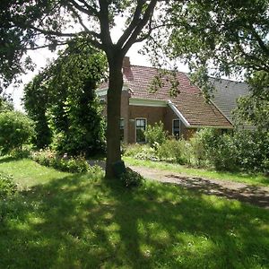 Urlaub Wie Frueher Auf Einem Bauernhof Mit Dem Komfort Von Heute Villa Gieterveen Exterior photo