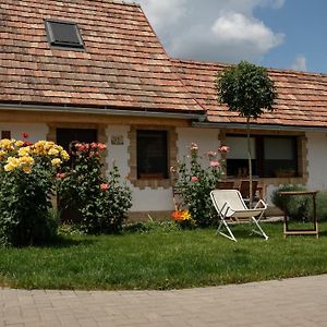 Zsofi Vendeghaz Apartment Szekszárd Exterior photo