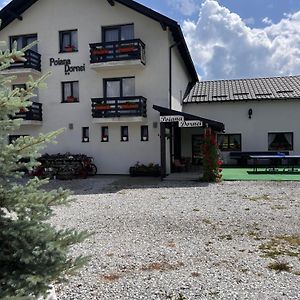 Pensiunea Poiana Dornei Hotel Vatra Dornei Exterior photo