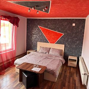 Marco Studio 1 Apartment Satu Mare Exterior photo