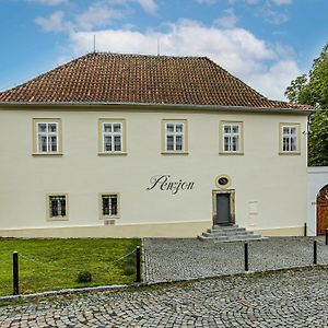 Penzion Popelka Hotel Roudnice nad Labem Exterior photo