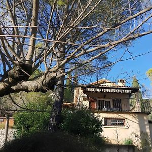 Le Mazet Des Oliviers, Vue Panoramique Villa Saint-Hippolyte-du-Fort Exterior photo