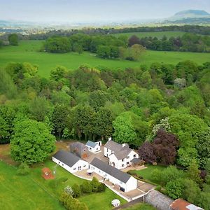 Enfield Farm Guest House Ballymena Exterior photo