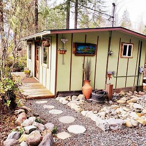 Mt Rainier Little Green Cabin On Big Creek! Villa Ashford Exterior photo