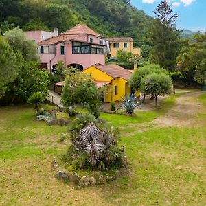 Villa Sara - 5 Min From The Sea - Happy Rentals Finale Ligure Exterior photo