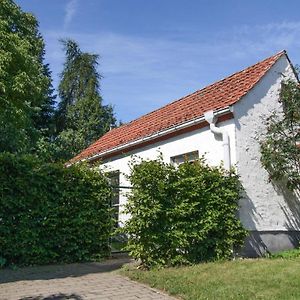 Ferienhaus Im Mueritz-Nationalpark In Mirow Villa Exterior photo