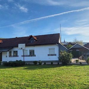 La Florina Bed & Breakfast Șuncuiuș Exterior photo