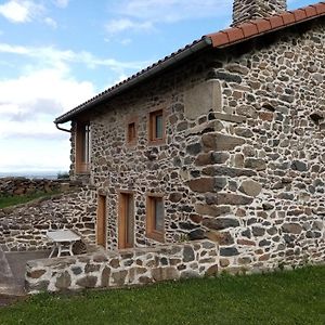 Charmante Maison Dans Les Gorges De La Loire Avec Terrasses Et Poele A Bois - Fr-1-582-319 Villa Retournac Exterior photo