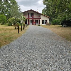 Maison Au Calme Avec Piscine Villa Vertheuil-en-Médoc Exterior photo