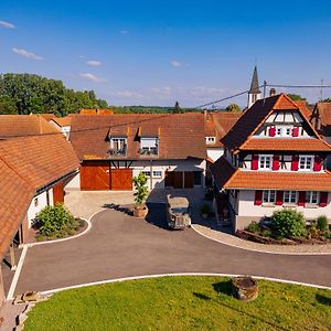 Remise 67 - Historisches Anwesen Beim Maison 1775, Mit Sauna, Wissembourg, Elsass Apartment Ingolsheim Exterior photo