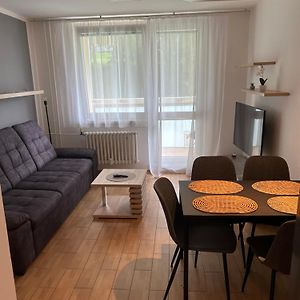 Apartman U Areny Nmnm Apartment Nove Mesto na Morave Exterior photo