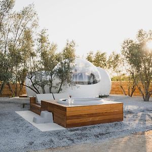 Bubble Supreme 13 With Jacuzzi Campera Hotel Burbuja Ensenada Exterior photo