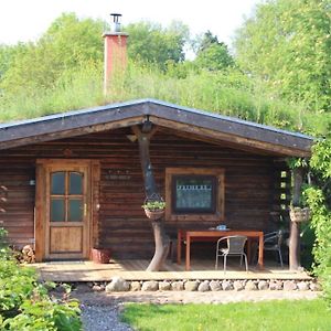 Blockhaus Zahren Villa Penzlin Exterior photo