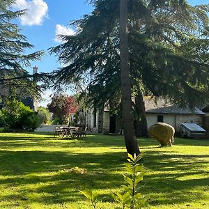 Maison De Charme Villa Saint-Saturnin-sur-Loire Exterior photo