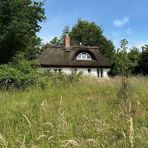 Kate Unter Reet Im Gruenen Villa Buchholz  Exterior photo