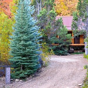 The Hideaway Concealed Cabin East Zion & Bryce Villa Glendale Exterior photo