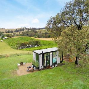 An Unforgettable View By Tiny Away Villa Dixons Creek Exterior photo