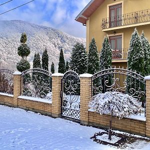 U Alini Hotel Solociîn Exterior photo