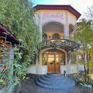 Вілла Токай Hotel Rahău Exterior photo