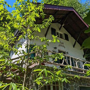 Peaceful Chalet Near The The Sure River Villa Michelau Exterior photo