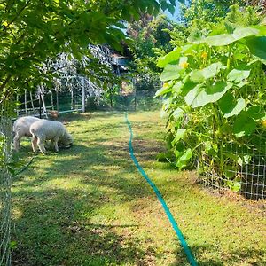 Bird Paradise & Mini Farm Apartment Bendigo Exterior photo