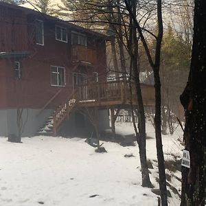 Whispering Woods Cabin - Creekside & Pet Friendly Villa Grafton Exterior photo