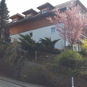 Mayerhofer House Apartment Linz Exterior photo