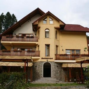 Vila Iulia Hotel Vatra Dornei Exterior photo