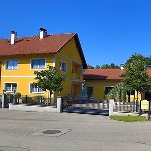 Ferienwohnungen Hanetseder Wallern an der Trattnach Room photo