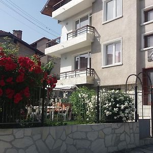 Mira Guest House Dobriniște Exterior photo