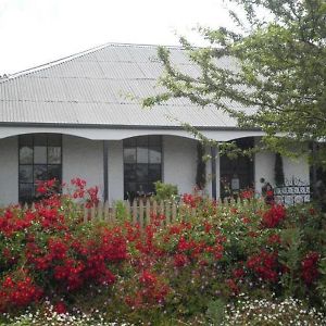 Ivy On Glenelg Bed & Breakfast Campbell Town Exterior photo