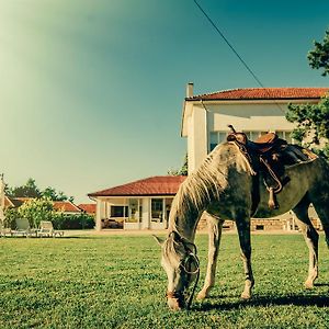 Guest House Ongal Kruşuna Exterior photo